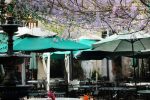 Court of Two Sisters - Outdoor Courtyard